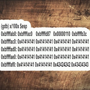 Könnte beinhalten: Ein Screenshot eines Computerterminals, der hexadezimale Speicheradressen und ihre entsprechenden Werte anzeigt. Die Werte sind eine Mischung aus Buchstaben und Zahlen.
