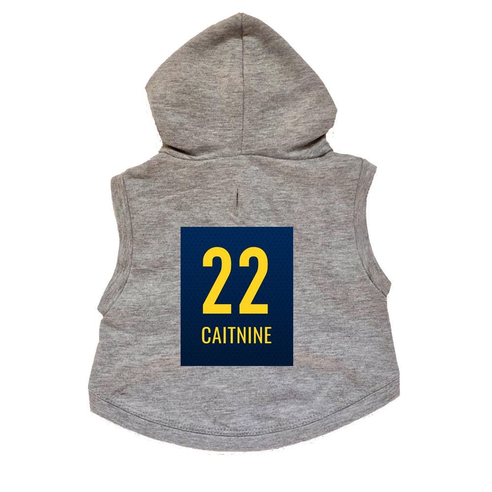 Caitnine #22 Dog Hoodie Premium Basketball Sweatshirt