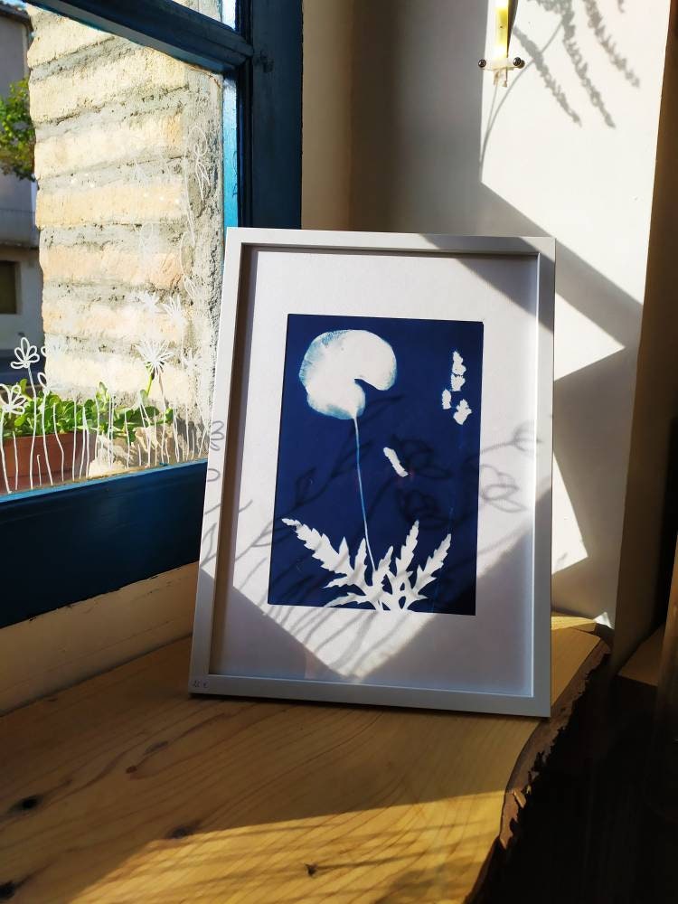 Cyanotype de Wild Flowers sur Papier Aquarelle