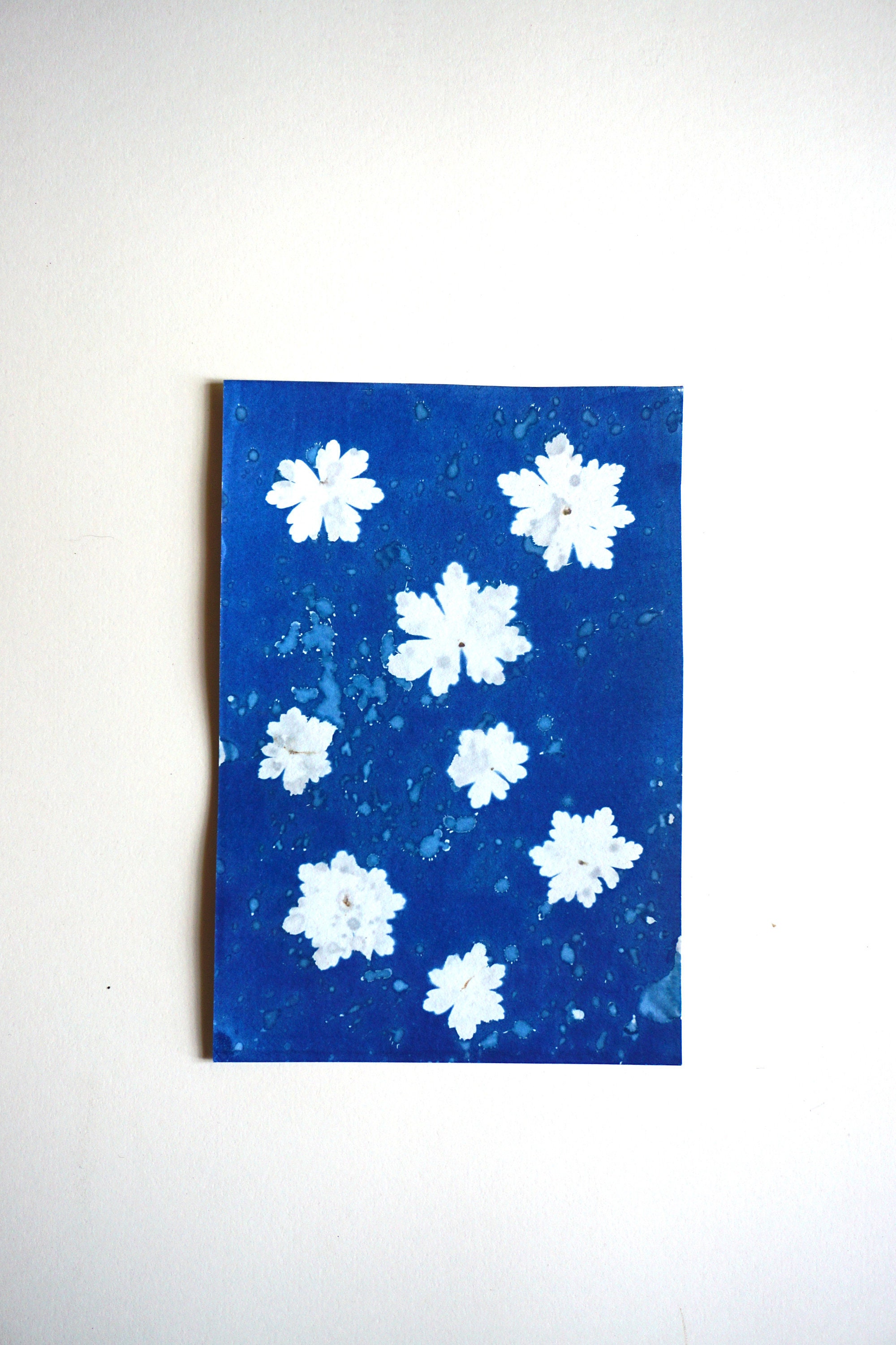 Cyanotype Mouillé de Flocons Neige sur Papier Aquarelle