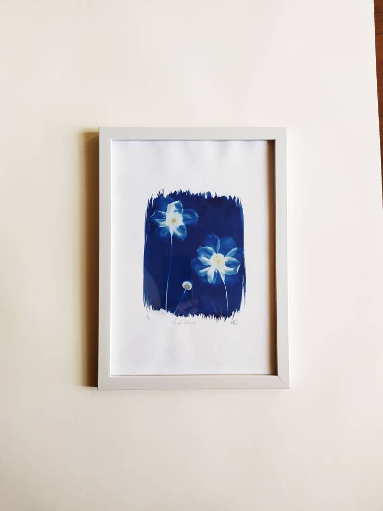 Cyanotype d'anémones d'automne sur Papier Aquarelle