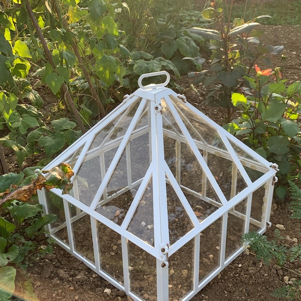 Large Victorian style garden Cloche