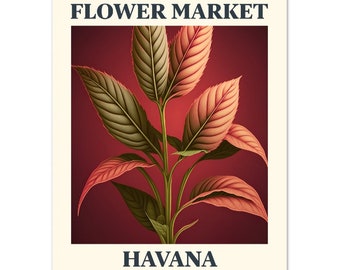 Flower Market Print Havana | Classic Matte Paper Poster