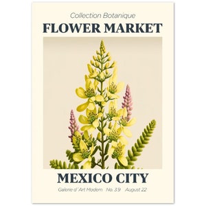Impresión del Mercado de las Flores Ciudad de México / Póster clásico de papel mate