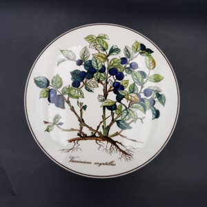 Boite Villeroy & Boch Botanica Diamètre 14cm / Description détaillée ci-dessous