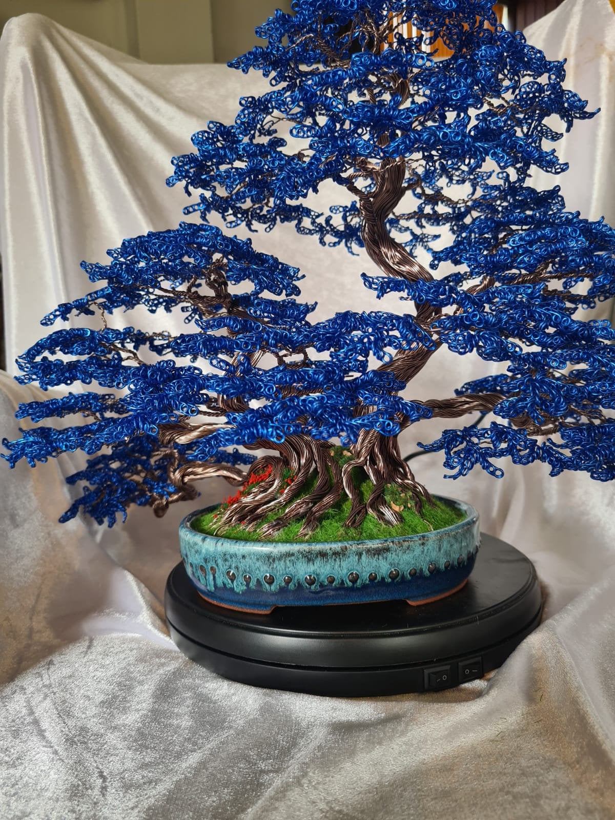 mammutbaum bonsai indoor Bonsai Starter Kit inkl. eBook