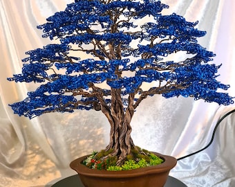 Pianta Menta Ananas Vera - Vaso Ø14cm, Aromatica, Foglie Profumate, Per Tisane E Cocktail - Foto 9