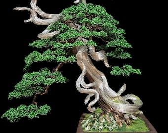 paperbark maple bonsai Acer griseum Paperbark Maple main image 1