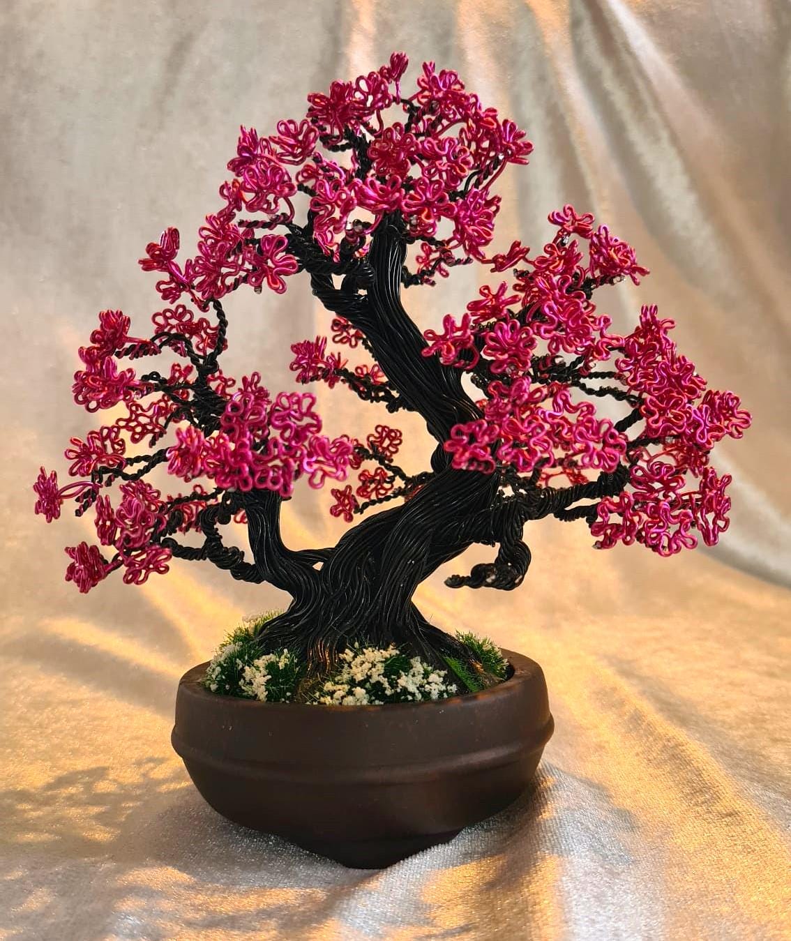 Japanische dekorative Aprikose Nummer 1sh Shohin-Serie/Drahtbaum Japanische  Aprikose Nummer 1sh Sohin-Serie (Prunus Mume) - Etsy.de