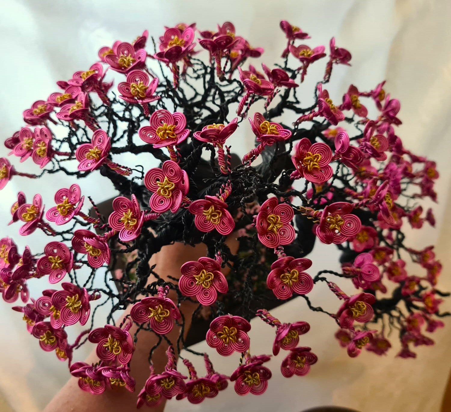Decorative Cherry Blossom Tree Sakura With Cascade Number 1C