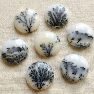 May include: Six round, polished dendritic agate cabochons featuring creamy white backgrounds with intricate, dark grey, fern-like inclusions that resemble branching trees or natural landscapes, arranged in a cluster on a textured surface.
