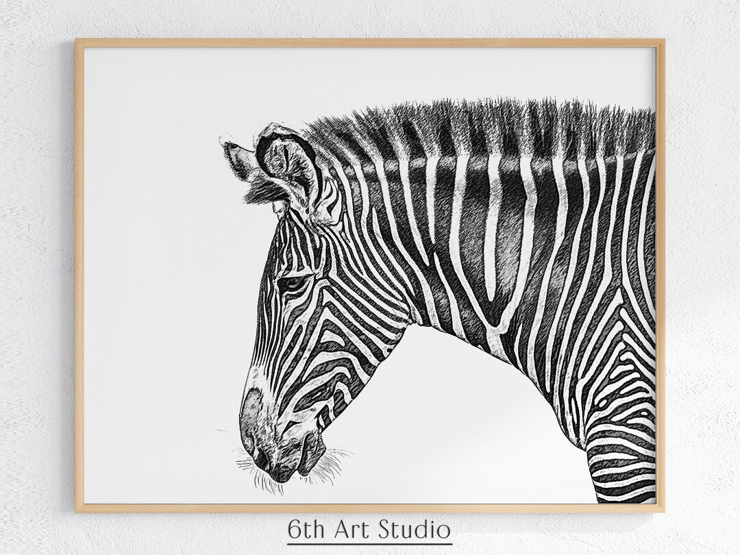 Zebra Head Art Black and White Zebra Gifts for Women Zebra Etsy
