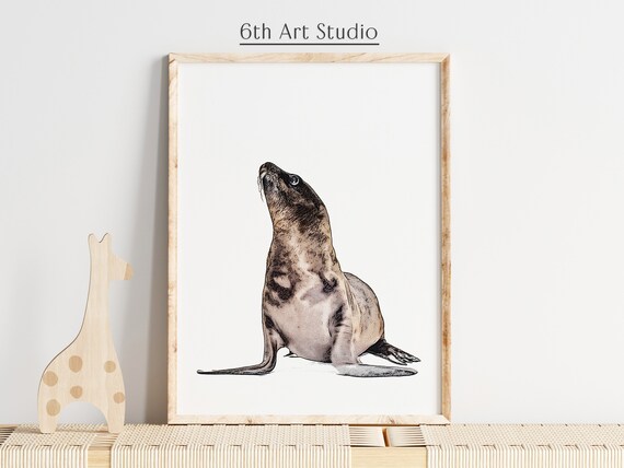 Sea Lion Drawing Tutorial – Tim's Printables