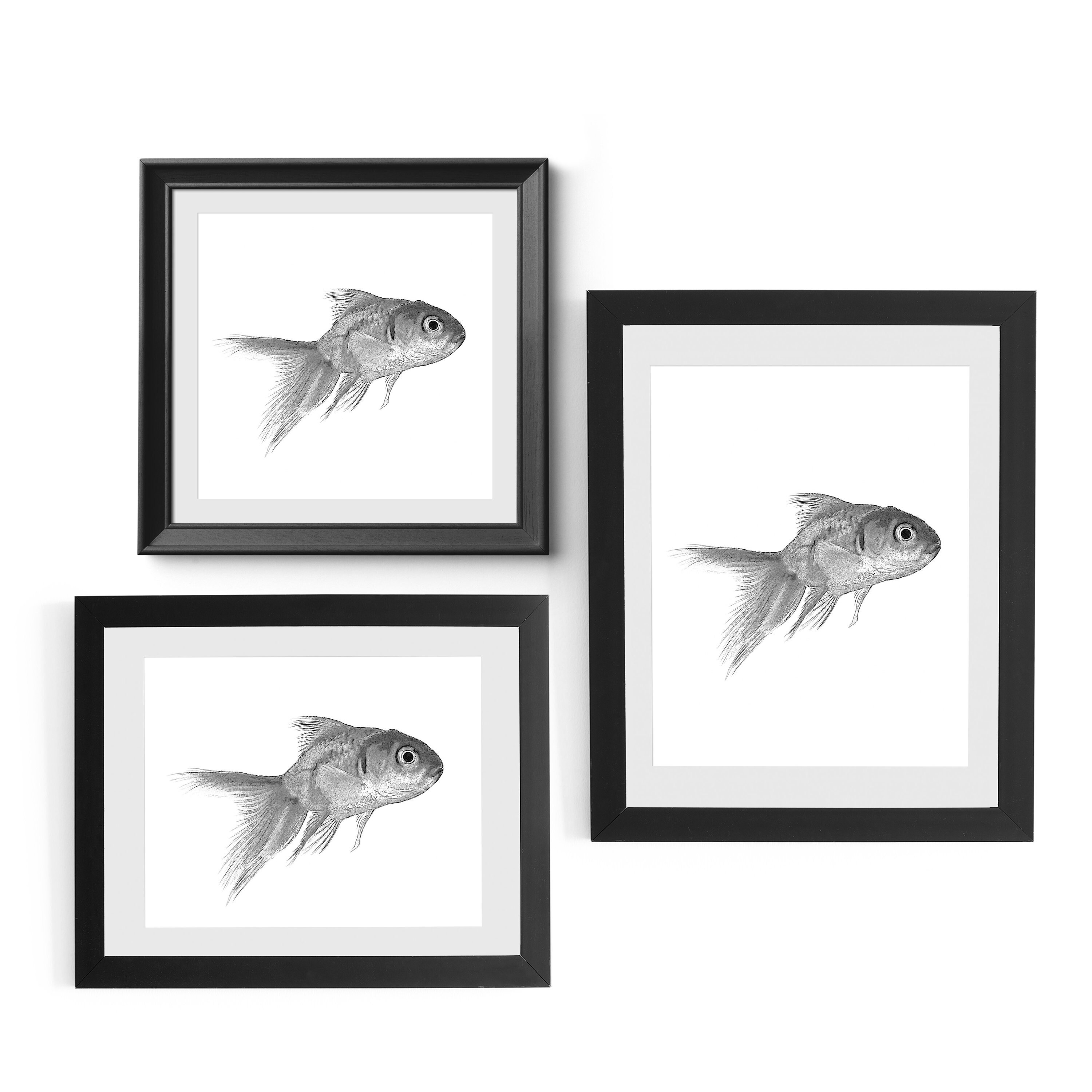 Black and White Goldfish Printable Wall Art Goldfish Gifts Etsy