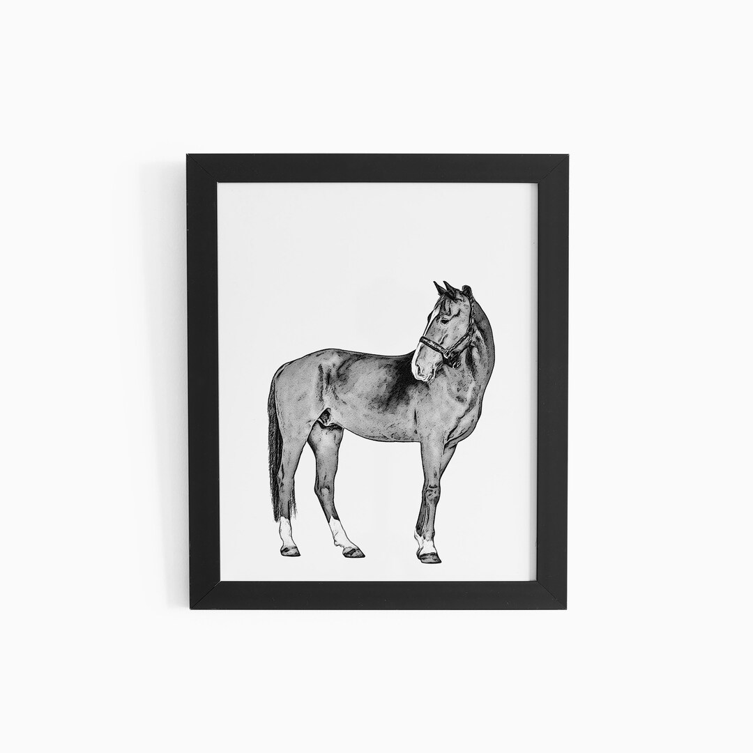 Black and White Horse Art Gifts for Nursery Decor Farmhouse Etsy