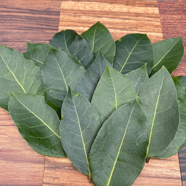 Bay Leaves Etsy
