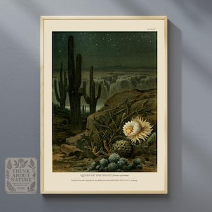 Night-Blooming Cactus Flower Print | Queen of the Night Botanical Wall Art