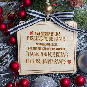 Friendship Is Like…Ornament