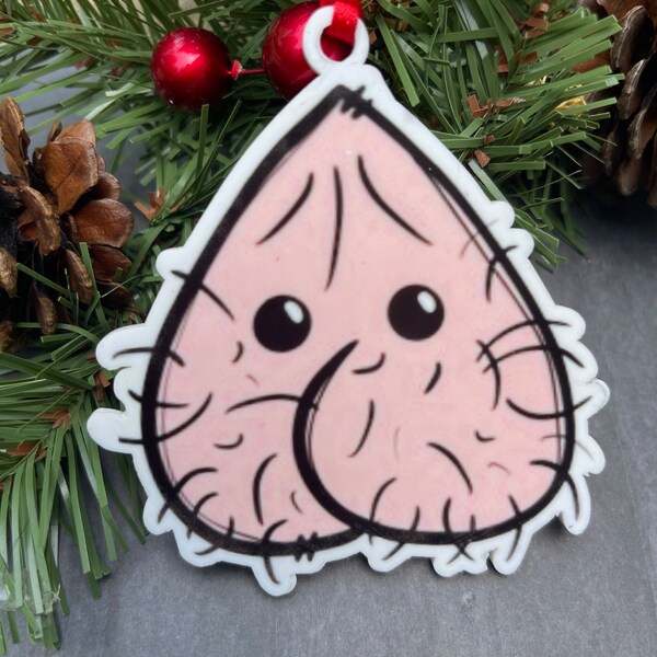 Nut Sack Ornament Etsy