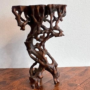 Può includere: Un espositore in legno intagliato marrone scuro. Il supporto presenta un design organico unico con una parte superiore ampia e piatta e una base contorta a forma di ramo. Il legno ha una venatura ricca e naturale e una finitura lucida.