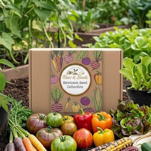 May include: A garden scene featuring a box labeled "Bee & Seeds Heirloom Seed Collection" surrounded by various vegetables and plants. Includes tomatoes, carrots, peppers, corn, cucumbers, and lettuce. A wooden fence and garden beds are in the background.