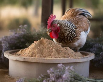 May include: A brown and white chicken with a red comb eats from a beige ceramic bowl filled with brown chicken feed. The bowl is on a sandy surface with lavender flowers.