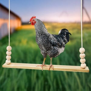 Chicken Swing Toy for Coop – Wooden Chicken Perch for Hens, Chicks, Roosters – Farm Pet Bird Toy – Poultry Run Accessories – Handmade in USA