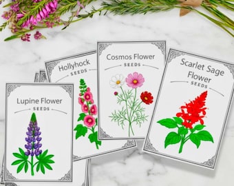 Hummingbird Garden Seed Collection | 15 Heirloom Varieties | Nectar Flowers for Pollinators
