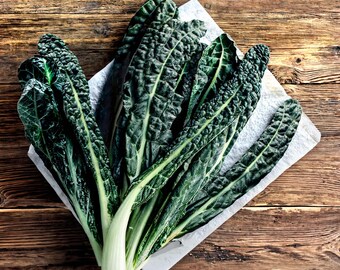 Lacinato Kale Seeds, Heirloom Non-GMO, Dinosaur, Black Tuscan