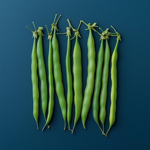 Blue Lake 274 Bush Bean Seeds - Heirloom, Non-GMO, Open Pollinated, Untreated, Green Beans
