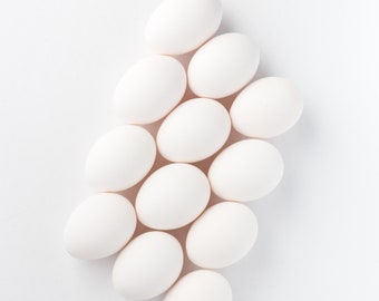 Duck Eggs- Free Range Fresh Organic Gourmet Duck Eggs for Eating & Baking