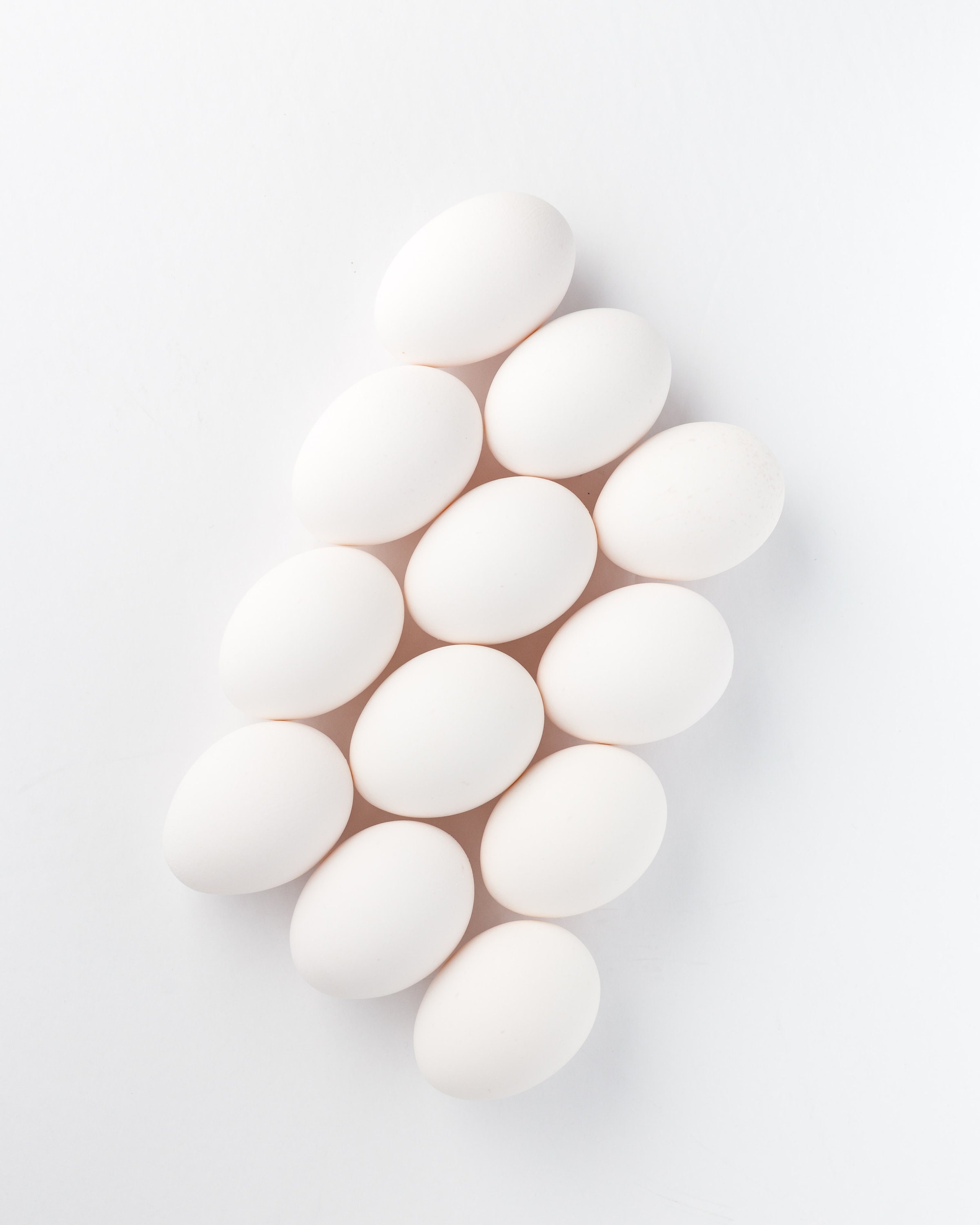 Malaysian Serama Hatching Eggs Malaysian Serama Hatching Eggs