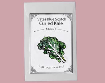 Vates Blue Scotch Curled Kale Seeds, Heirloom Non-GMO, Cold Hardy