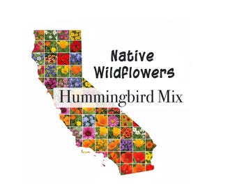 California Hummingbird Wildflower Mix — Native Wildflower Seeds, Drought Tolerant, Self-Reseeding Garden