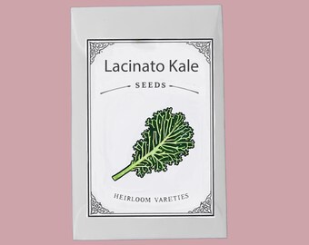 Lacinato Kale Seeds, Heirloom Non-GMO, Dinosaur, Black Tuscan