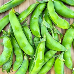 Super Sugar Snap Pea Seeds | Heirloom Non-GMO Pisum Sativum | Organic Snap Peas for Garden |