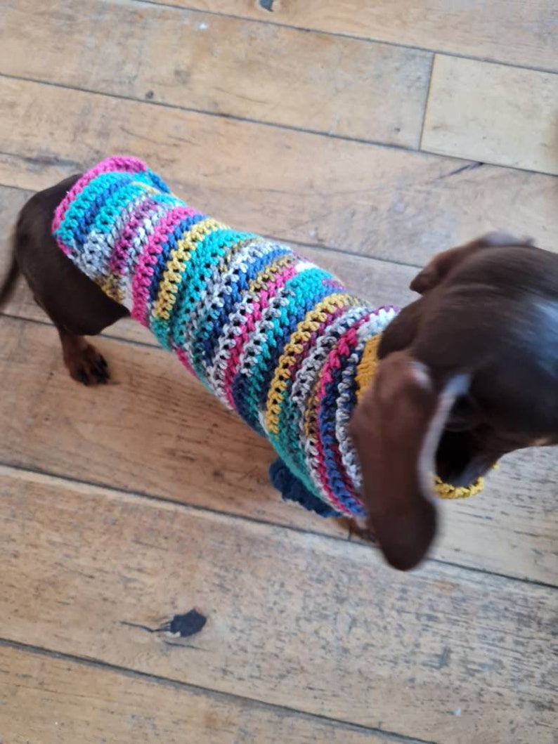 Sweater for Small Dog/crocheted Sausage Dog Jumper / Dachshund Etsy
