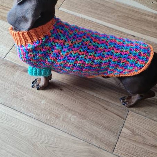 Miniature Dachshund/ Sausage Dog Crochet Coat / Jumper / Etsy UK