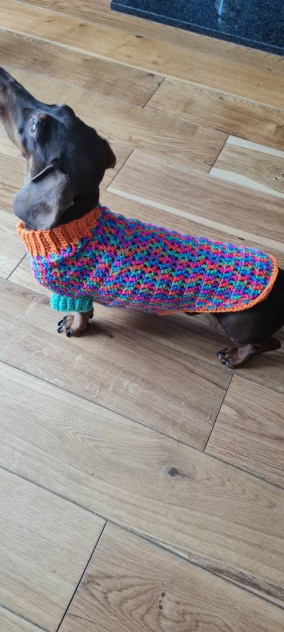 Dachshund Jacket - Multi Dachshund Jacket - Multi