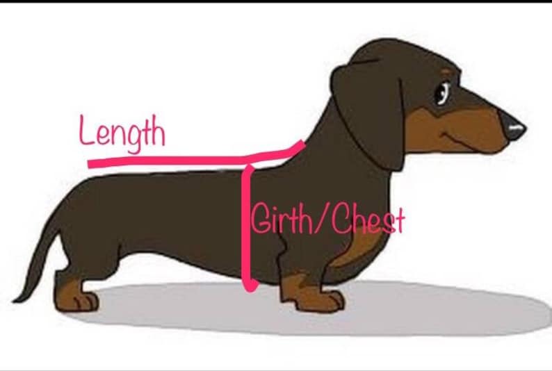 Sweater for Small Dog/crocheted Sausage Dog Jumper / Dachshund Etsy