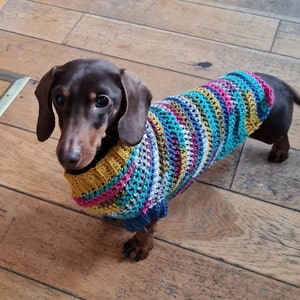 Sweater for small dog/Crocheted Sausage dog jumper / dachshund sweater/ wiener dog sweater/ dachshund jumper / small dog