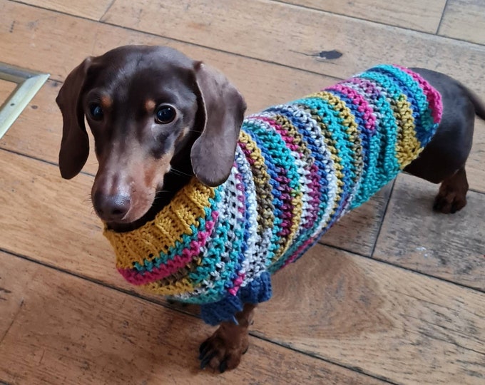 Sweater for Small Dog/crocheted Sausage Dog Jumper / Dachshund Sweater/ Wiener Dog Sweater