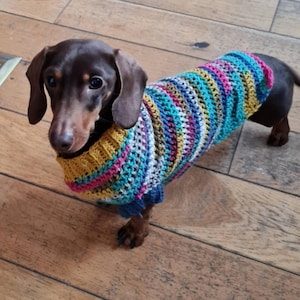 Gehäkelter Dackelpullover: Hundepullover in Bunt