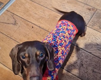 Red blue and yellow Dachshund sweater / sausage dog jumper / Dog sweater /  dachshund gift
