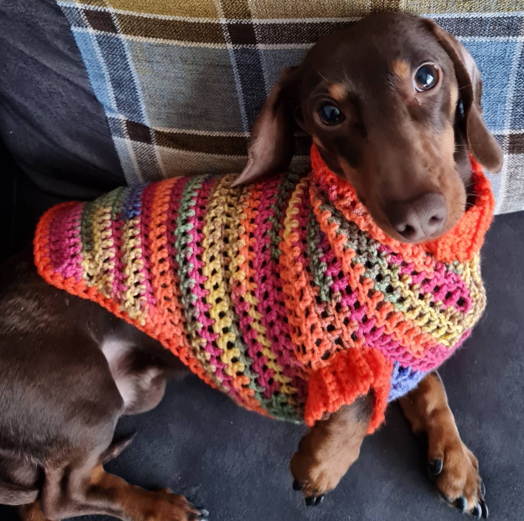 Sweater for Small Dog/crocheted Sausage Dog Jumper / Dachshund Sweater/ Wiener Dog Sweater