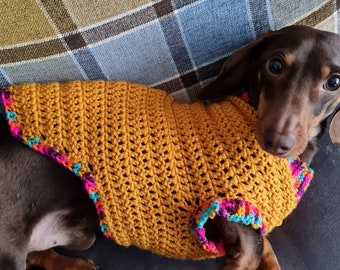 Dachshund sweater/ Sausage dog Jumper/ Dog jumper/crocheted dog jumper/ dog sweater/ Sausage dog jacket/