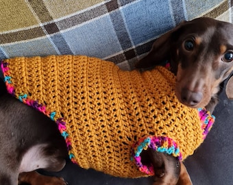 Dachsie Jumper Dachshund Coats And Jumpers Crocheted Dachshund