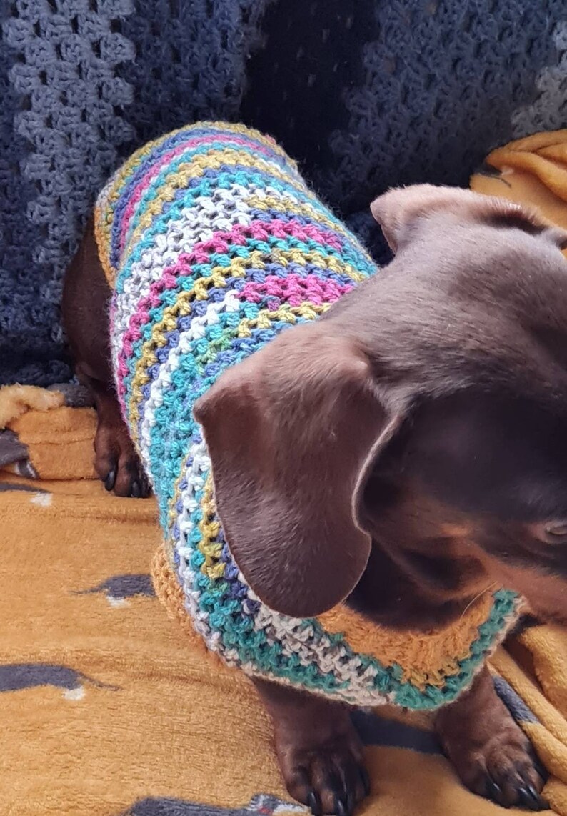 Sweater for Small Dog/crocheted Sausage Dog Jumper / Dachshund Etsy