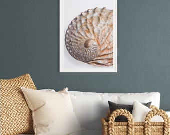 Kunstprint Schelp Abalone #9 | Fotoprint poster zonder lijst | Muurdecoratie voor de woonkamer | Fotokunstprint | Nautische wanddecoratie