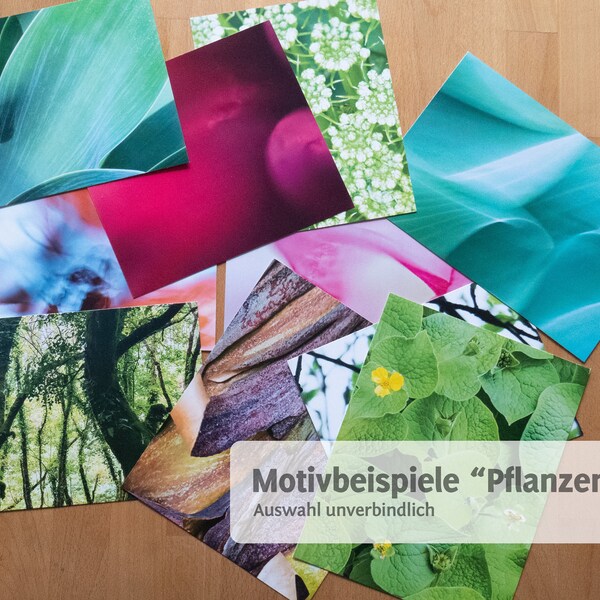 Nachhaltige Upcycling-Fotopostkarten Set mit 10 Stück | Naturmotive abstrakt| Makro | Pflanzen Wasser Strand  | Kunstkarten | freies Format